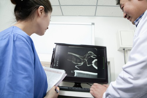 Advanced Digital X-rays  Huntsville, AL 