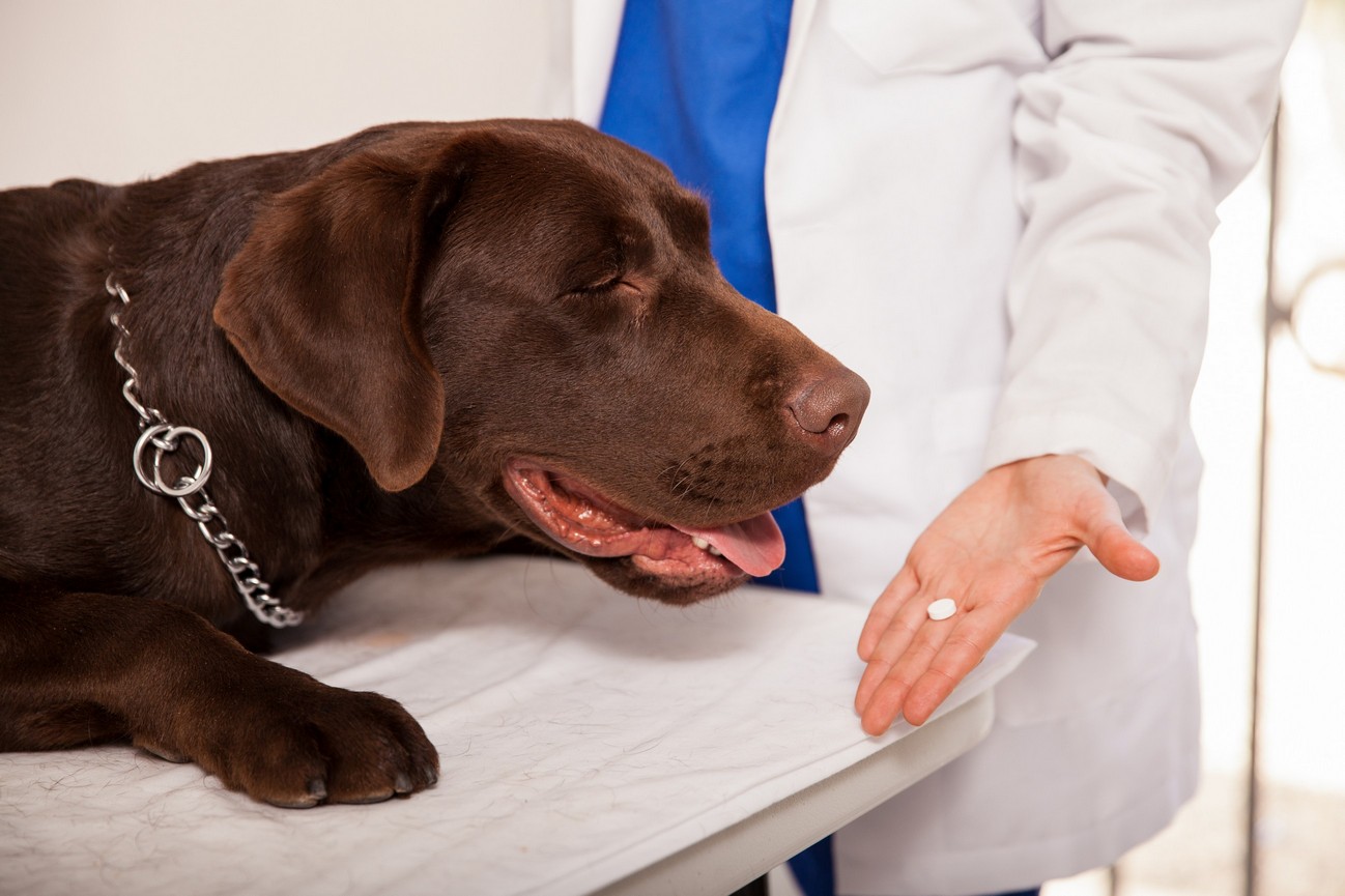 Preventative Care  Huntsville, AL 