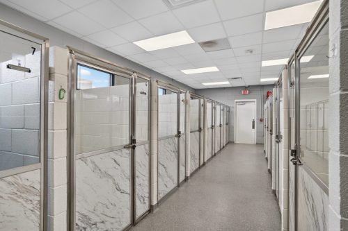 Doodle Landing & Big Spring Bark