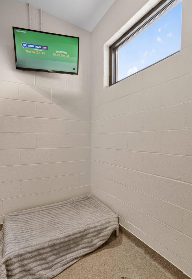 Luxury Suite with window